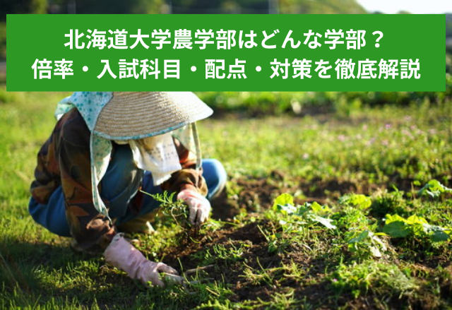 北海道大学農学部はどんな学部？倍率・入試科目・配点・対策を徹底解説