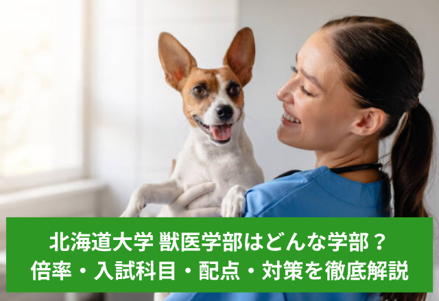 北海道大学 獣医学部はどんな学部？倍率・配点・面接・勉強のコツを徹底解説
