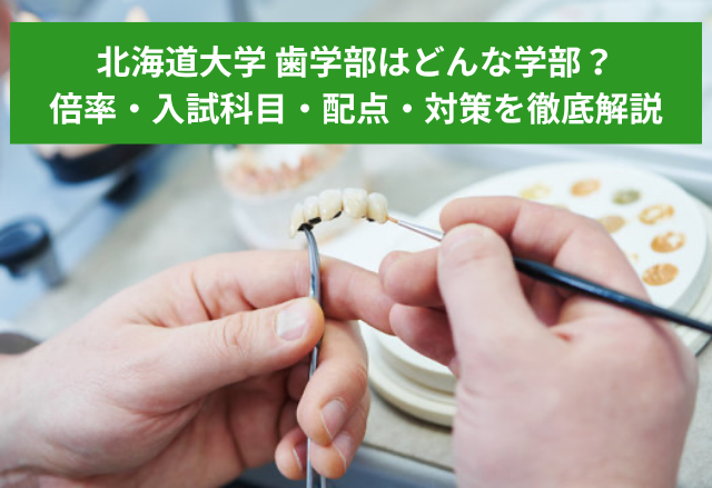 北海道大学 歯学部はどんな学部？倍率・入試科目・配点・面接・勉強方法を徹底解説！